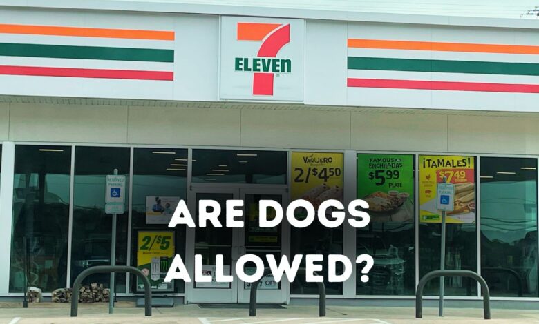 Are dogs allowed in 7-11?