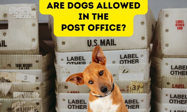 Are dogs allowed in the Post Office?