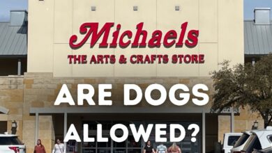 Are dogs allowed in Michaels stores?
