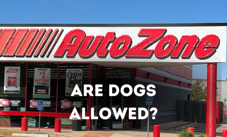 Are dogs allowed in AutoZone?