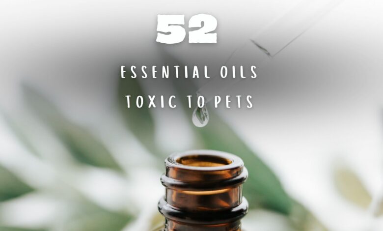 Essential Oils Toxic to Pets