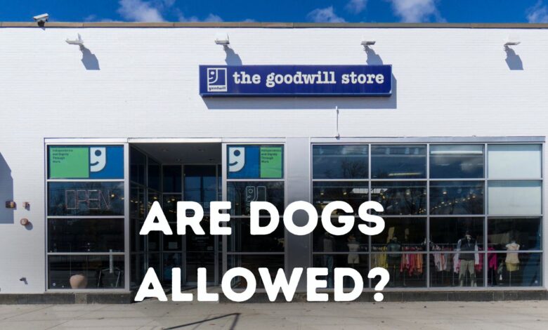 Is Goodwill dog friendly?