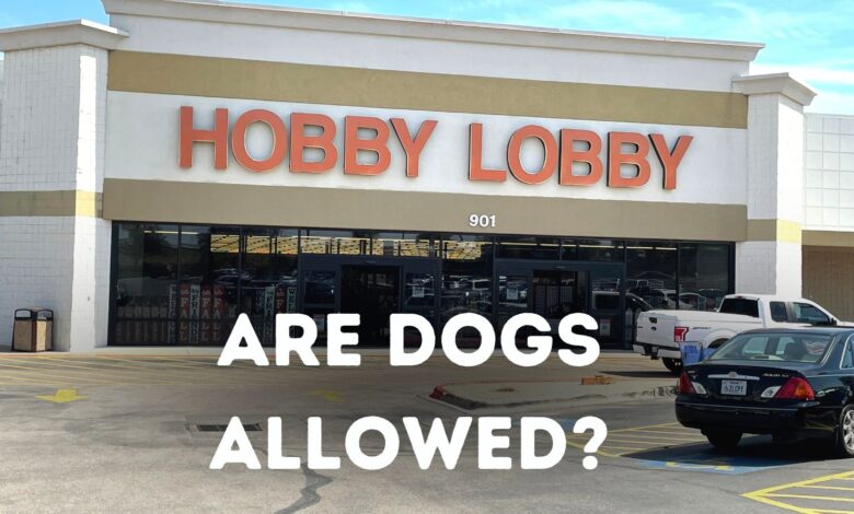 Are dogs allowed in Hobby Lobby?