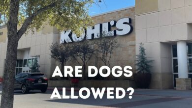Are dogs allowed at Kohl