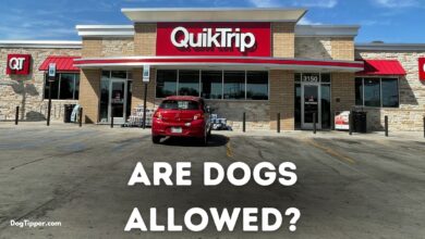 Is QuikTrip dog friendly?