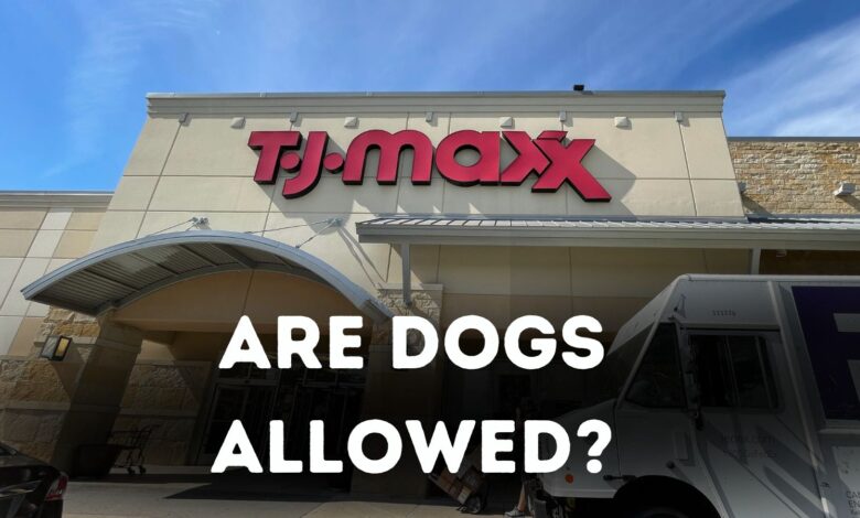 Are dogs allowed in TJ Maxx?