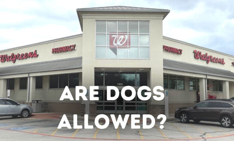 Are dogs allowed in Walgreens?