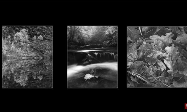 How to edit black and white landscape photos