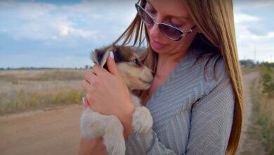 Woman clutching unloved puppy wraps its paws around her and won't let go