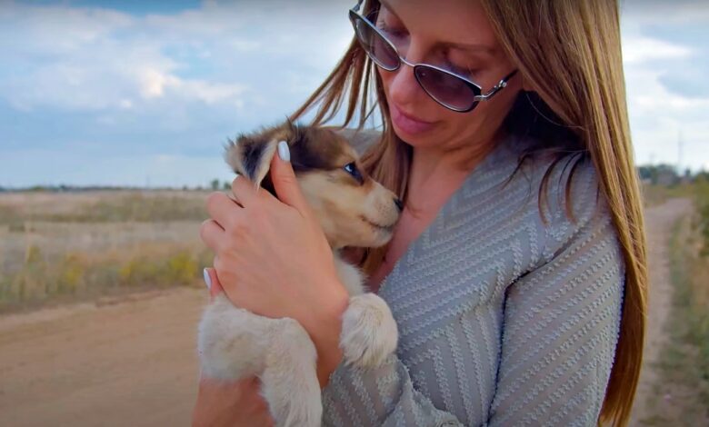 Woman clutching unloved puppy wraps its paws around her and won't let go