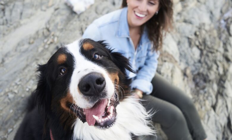 How your pet parenting style affects your dog's behavior – Dogster