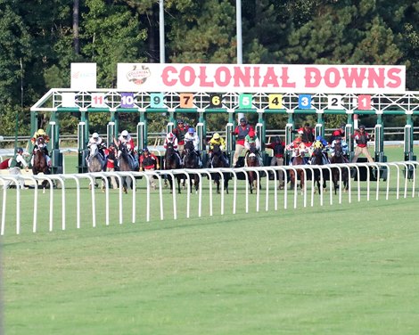 Millionaire Arlington has a new home in Colonial Downs