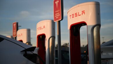 Longtime Tesla bear Toni Sacconaghi says more price cuts are needed to boost demand