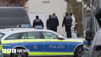 Schoolgirl killed in knife attack in Germany