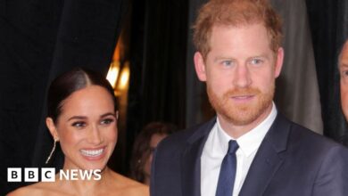 Harry and Meghan Netflix series debuts amid controversy