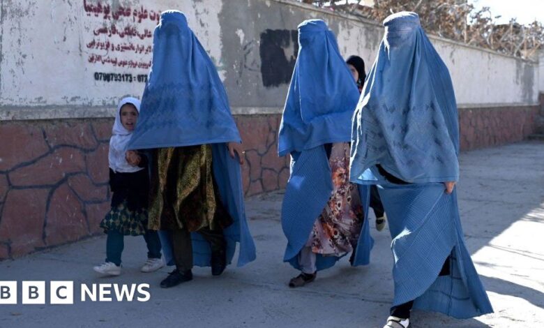 Afghanistan: Taliban ban women from working for NGOs