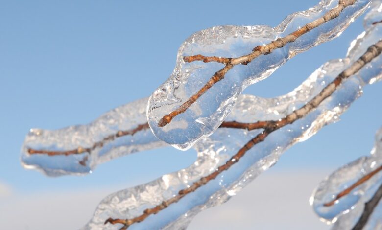 Coldest Temperatures in Years, Substantial Freezing Rain and Strong Local Winds