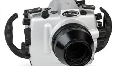 Seacam reveals case for Nikon Z9