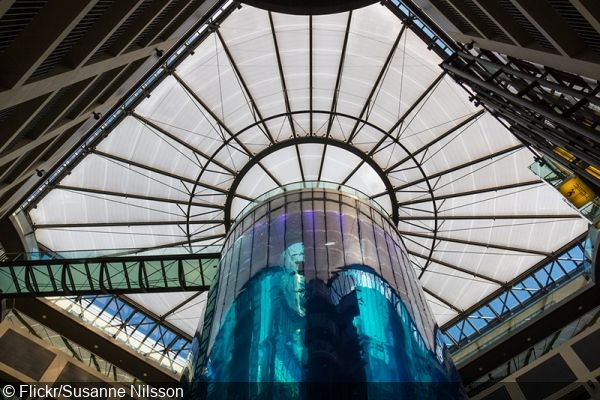 Big explosion at Berlin aquarium