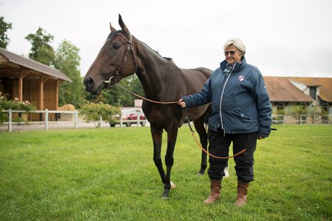 The Treve sisters lead the Haras du Quesnay Dispersal in Arqana