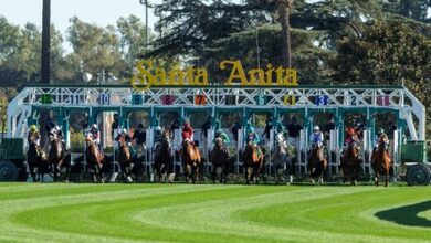Santa Anita offers three pitch options in upcoming meeting