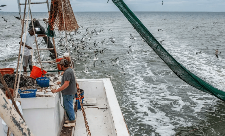 Virginia agrees to compensate fishing industry for offshore wind damage – Watts Up With That?