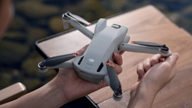 The new DJI Mini 3 is for beginners but packed with pro features