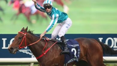 Romantic warrior conquers fans' hearts with HK Cup championship