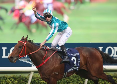 Romantic warrior conquers fans' hearts with HK Cup championship