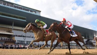 NYRA Announces Aqueduct Spring Stake Schedule