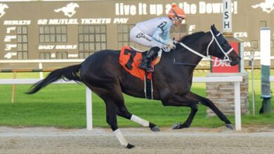Super Chow, Dorth Vader in powerful Tampa Stakes victory