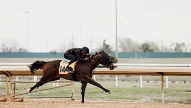 Texas 2 years old in training Date of Sale Set for 2023