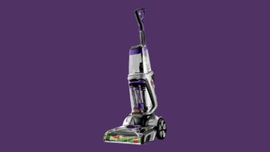 7 Best Carpet Cleaners (2022): Budget, Stain Remover, Hard Floors