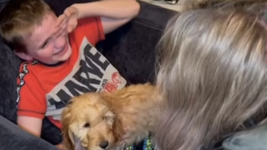 The boy with a "life-limiting condition" cried tears of happiness after meeting the special puppy