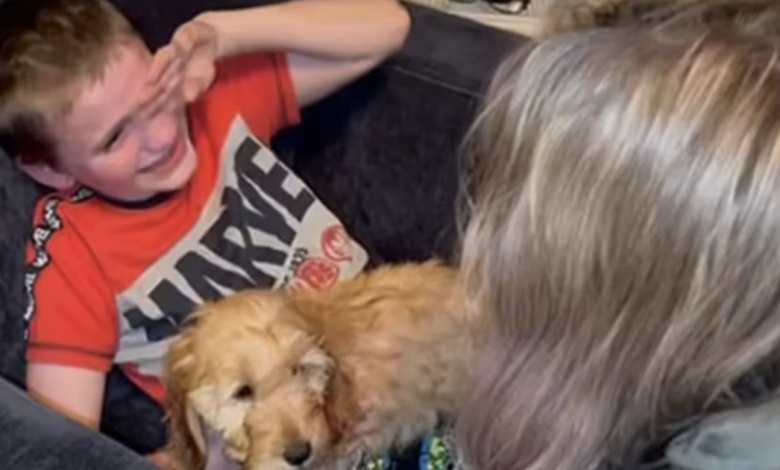 The boy with a "life-limiting condition" cried tears of happiness after meeting the special puppy