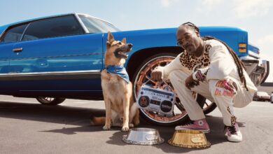 Snoop Doggie Doggs!  Discover Snoop Dogg's New Petwear Brand – Dogster