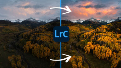 Transform your images in minutes with Lightroom radial filters