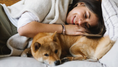 9 Companies That Provide The Best Pet Insurance For Dogs