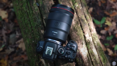 A look at the new Canon RF 135mm f/1.8 L IS USM lens