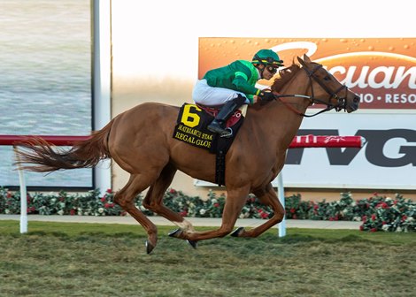 Regal Glory Goes for the Second Matriarch at Del Mar