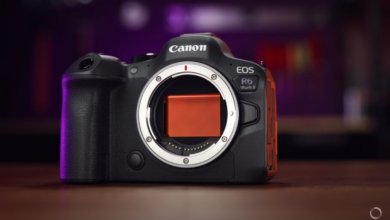 Review of Canon EOS R6 Mark II Mirrorless Camera for Video?