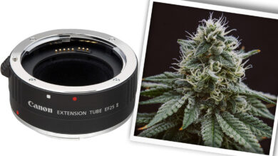 Extension Tubes: They May Save You From Spending Thousands