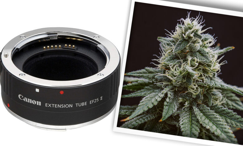 Extension Tubes: They May Save You From Spending Thousands
