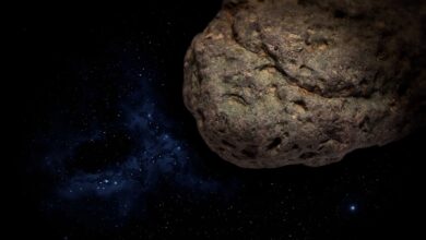 The giant plane-sized asteroid just flew close to the Earth;  NASA reveals speed and size