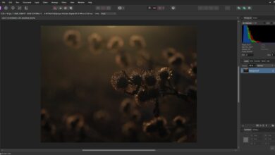 Will Affinity Photo 2 Take a Chomp out of Adobe's Apple? We Review This Editing Software