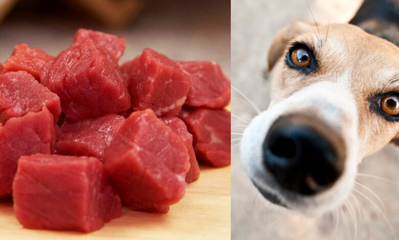 Get Cooking For Your Good Looking Hound