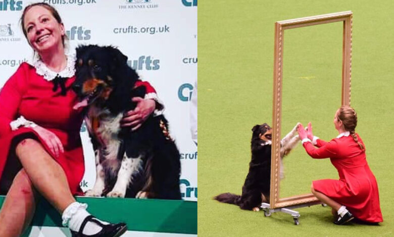 Brilliant Border Collie and his mother win world championships with sinister reflection dance