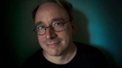 Linux 6.1 lands stably as Linus Torvalds frets about frantic 6.2 merge before the holidays