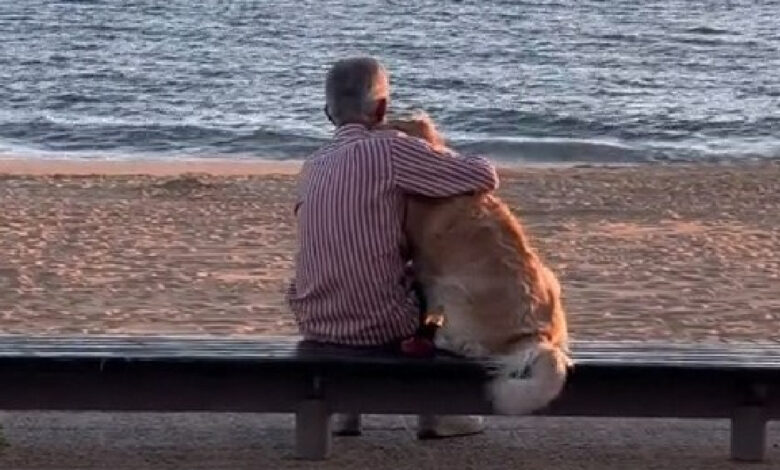 We bet you'll cry when you see this man and his dog watching the sunset together