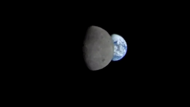 That's so great!  The Earth rises after the Moon!  A miracle?  Check out how NASA did it